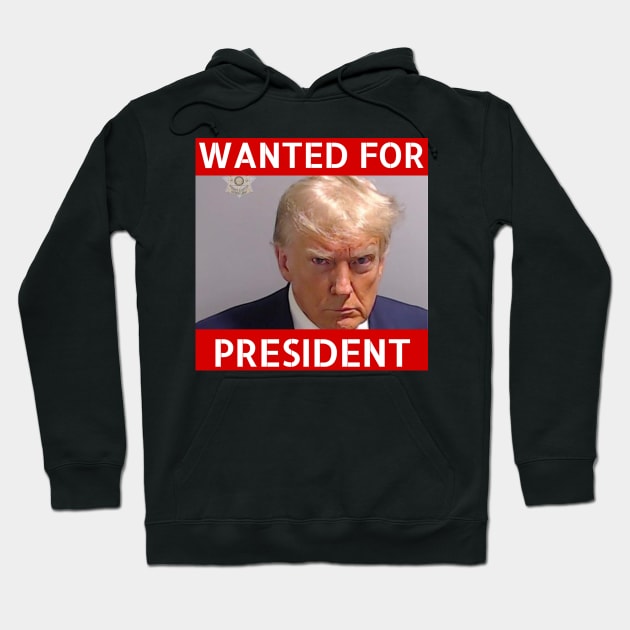 Trump not guilty Hoodie by Banned Books Club